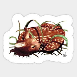 Fawn Sticker